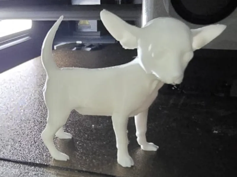 Chihuahua