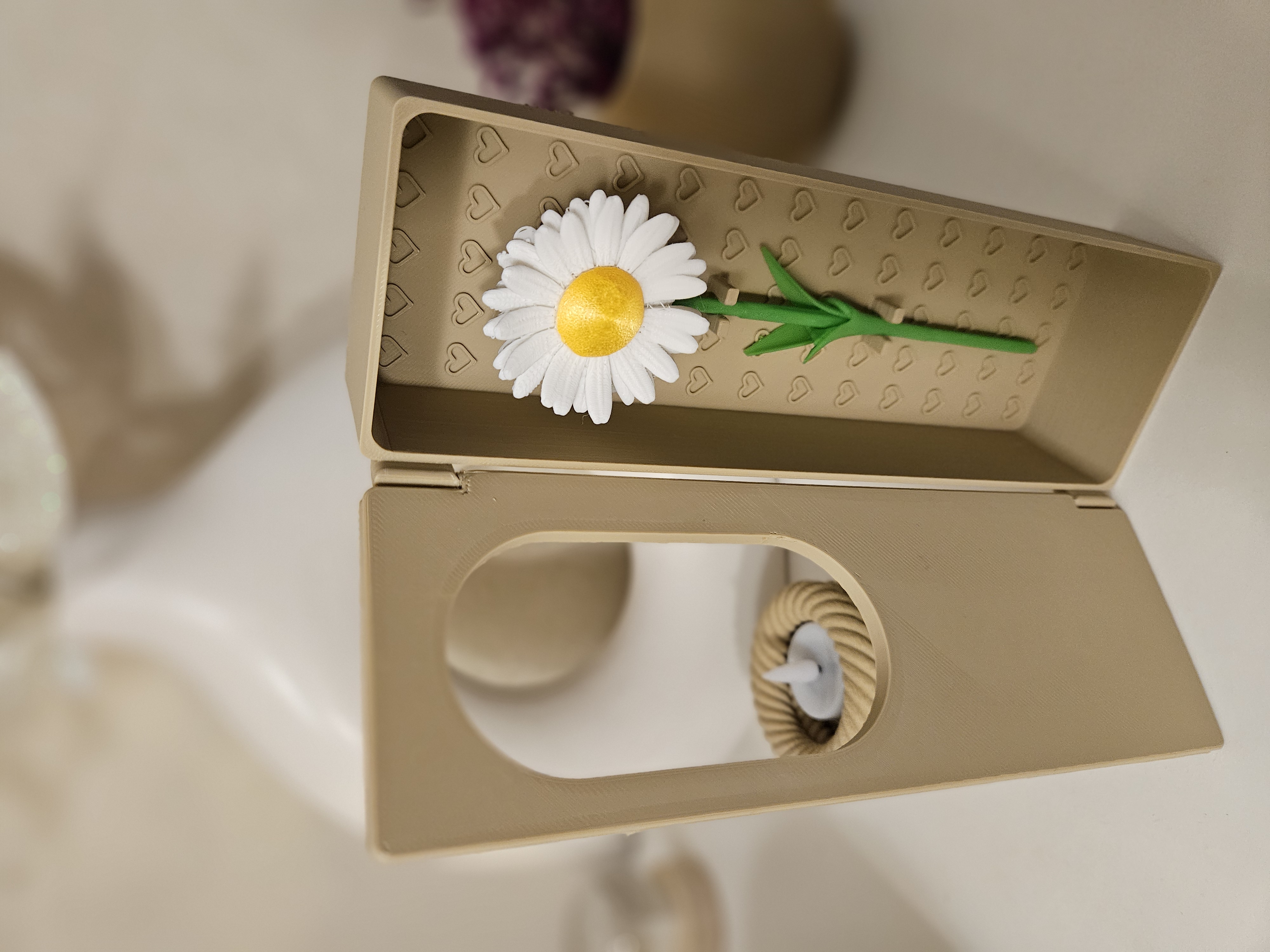 Miniatura 6 do modelo 3D Flower Box