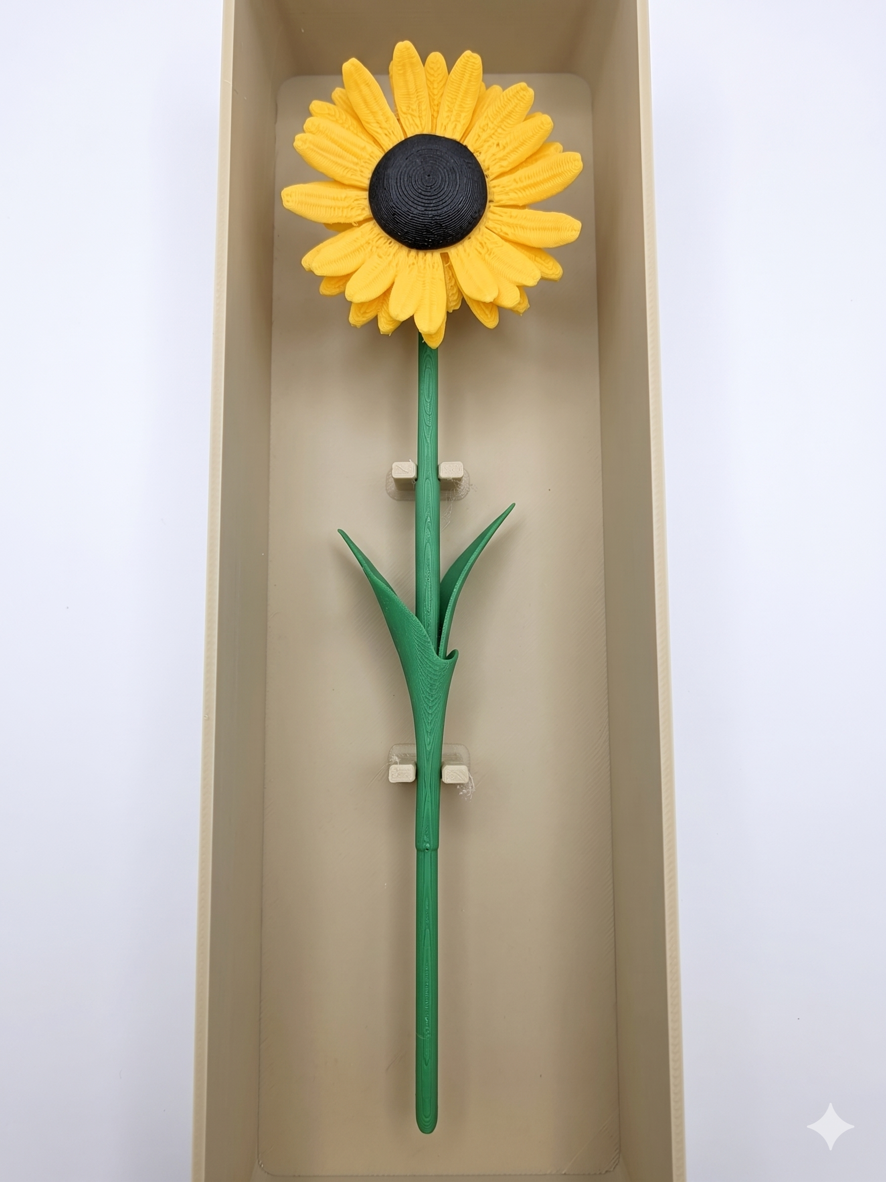 Miniatura 7 do modelo 3D Flower Box