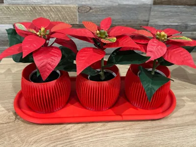 vases with tray