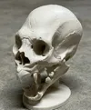 A1 mini - 0.16mm layer, 3 walls, 15% infill