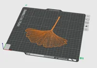 Feuille de ginkgo — photo 3
