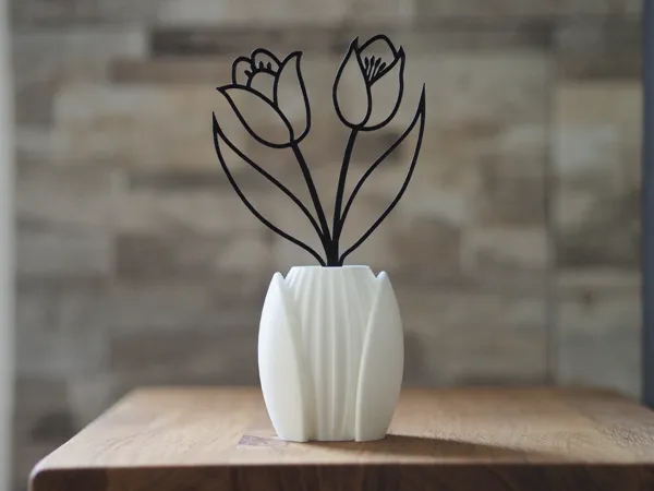 https://makerworld.bblmw.com/makerworld/model/USbd25613128bc61/design/2025-02-07_28c5a05b54d6.jpg