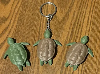 Sea Turtle