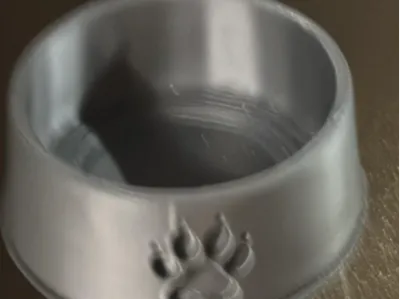 Pet Food Bowl 