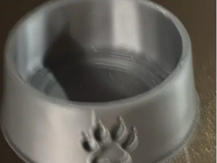 Pet Food Bowl 