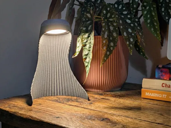 https://makerworld.bblmw.com/makerworld/model/USbd27fb4d3f3df0/design/2025-11-24_220d12fdf42c6.png