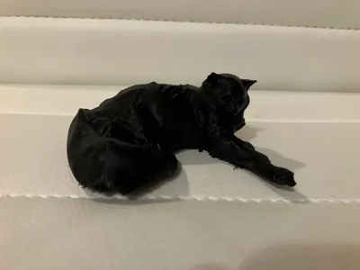 Laying Cat Pose 1