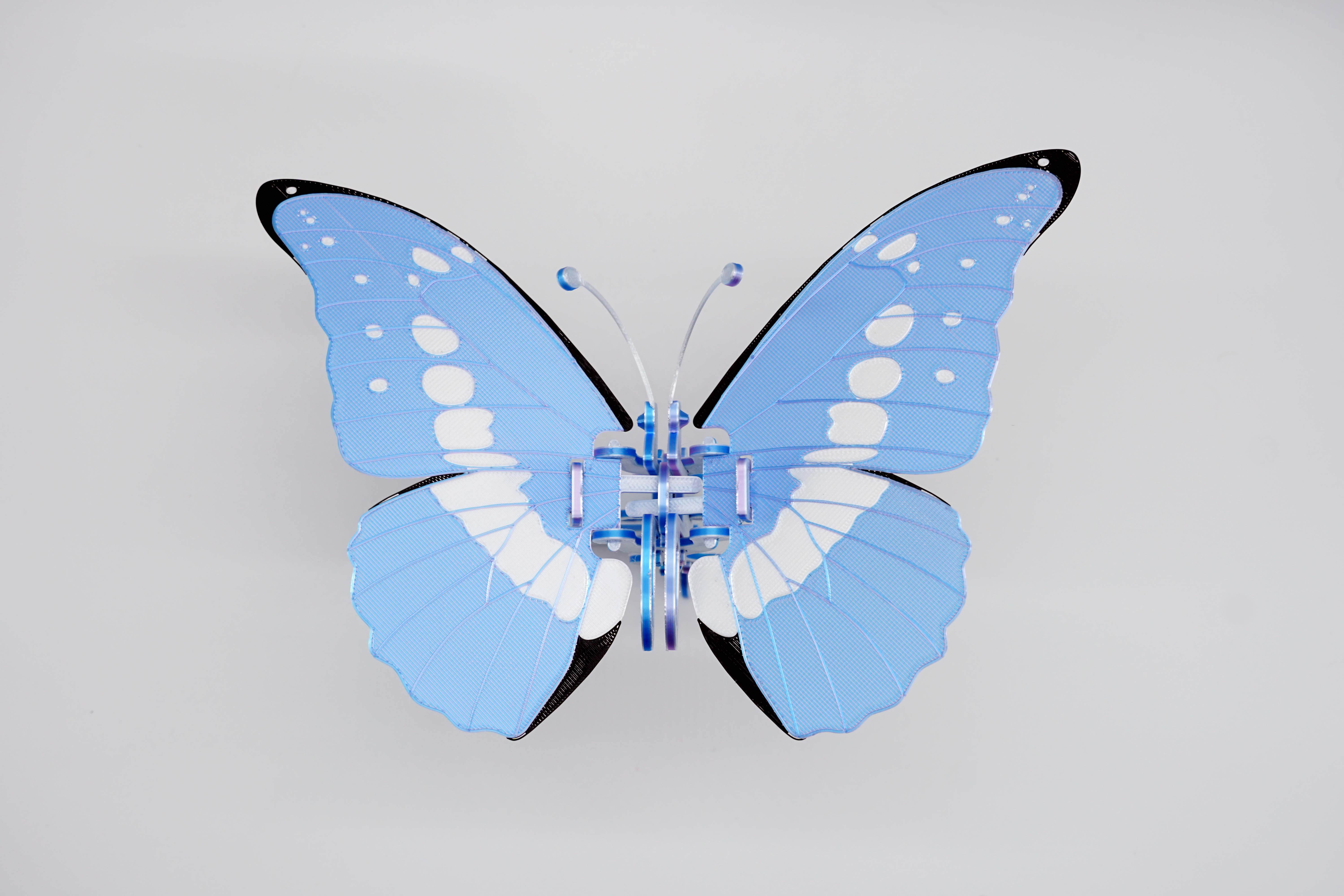 Miniatura 2 do modelo 3D 蝴蝶可动玩具套卡—7款替换翅膀