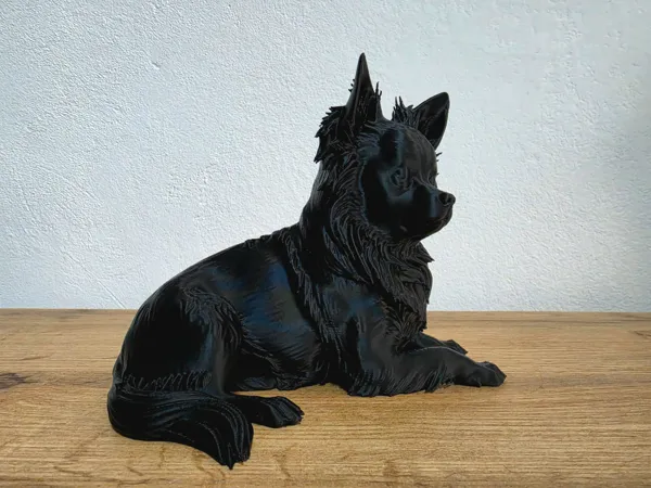 https://makerworld.bblmw.com/makerworld/model/USbd34ffbb600045/design/667b425d13018290.jpg