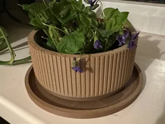 Flower pot