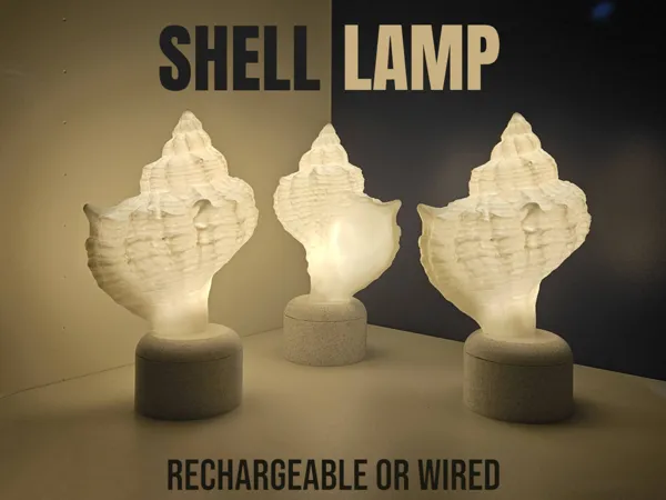 https://makerworld.bblmw.com/makerworld/model/USbd40b20fea91fd/design/2025-08-05_b86a43d8120a68.png