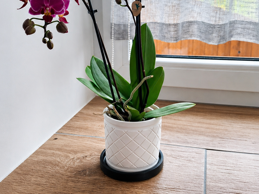2-Part Flower Pot with Matching Saucer