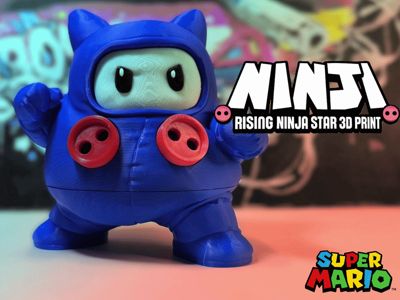 NINJI – Super Mario Inspired Character | NO AMS