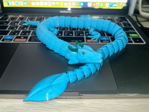 https://makerworld.bblmw.com/makerworld/model/USbd481e322d833b/design/2024-06-02_5bf90bbbab3768.jpg