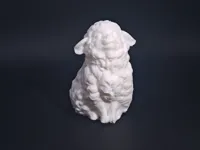 Petit mouton mignon — photo 2