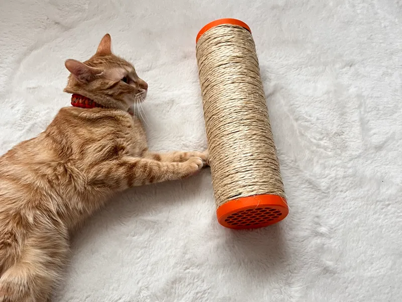 Rascador para gatos sonajero