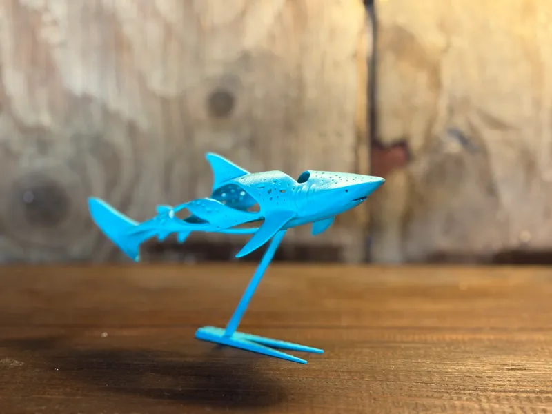 Whale Shark - Ocean Sculpture