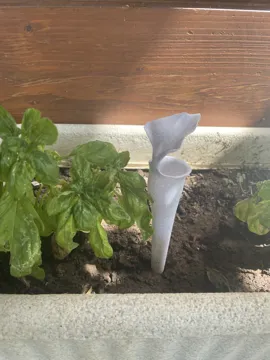 Tapa o cubierta: Carnivora Fly Trap Inspired by Carnivorous Plants — vista de referencia 4