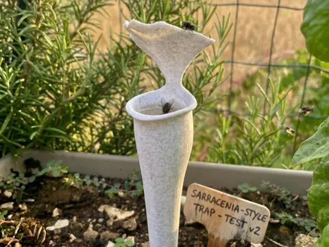 Tapa o cubierta: Carnivora Fly Trap Inspired by Carnivorous Plants — referencia de MakerWorld