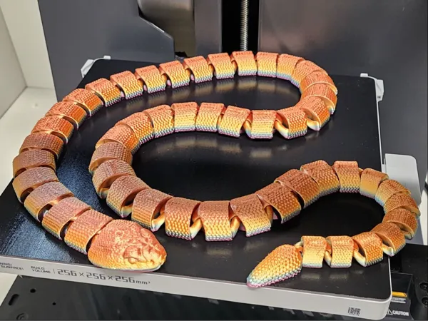 https://makerworld.bblmw.com/makerworld/model/USbd51b90340a708/design/2024-06-07_821b01ff3653d.jpg