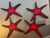 Icon Star Tactile Story Prop