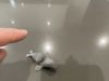 Flippy the Fidget Seal 0.2mm layer, 2 walls, 15% infill