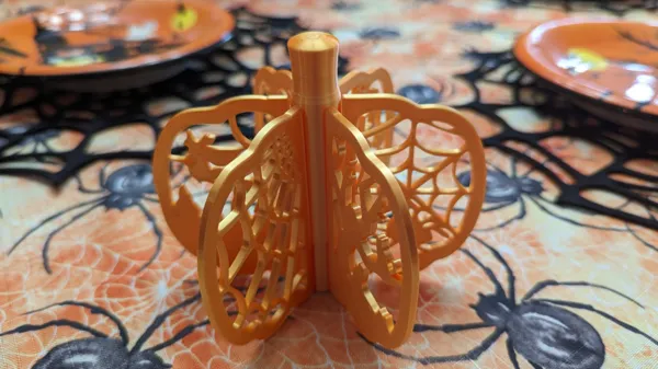https://makerworld.bblmw.com/makerworld/model/USbd59069e69a79d/design/2023-10-07_4464c00fa8067.jpg