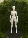 0.12mm layer, 2 walls, 100% infill