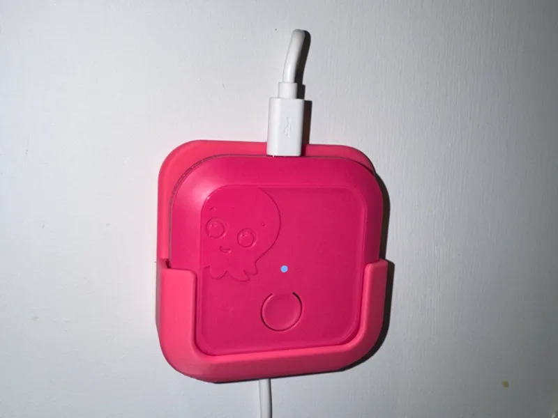 Octopus Home Mini Mount