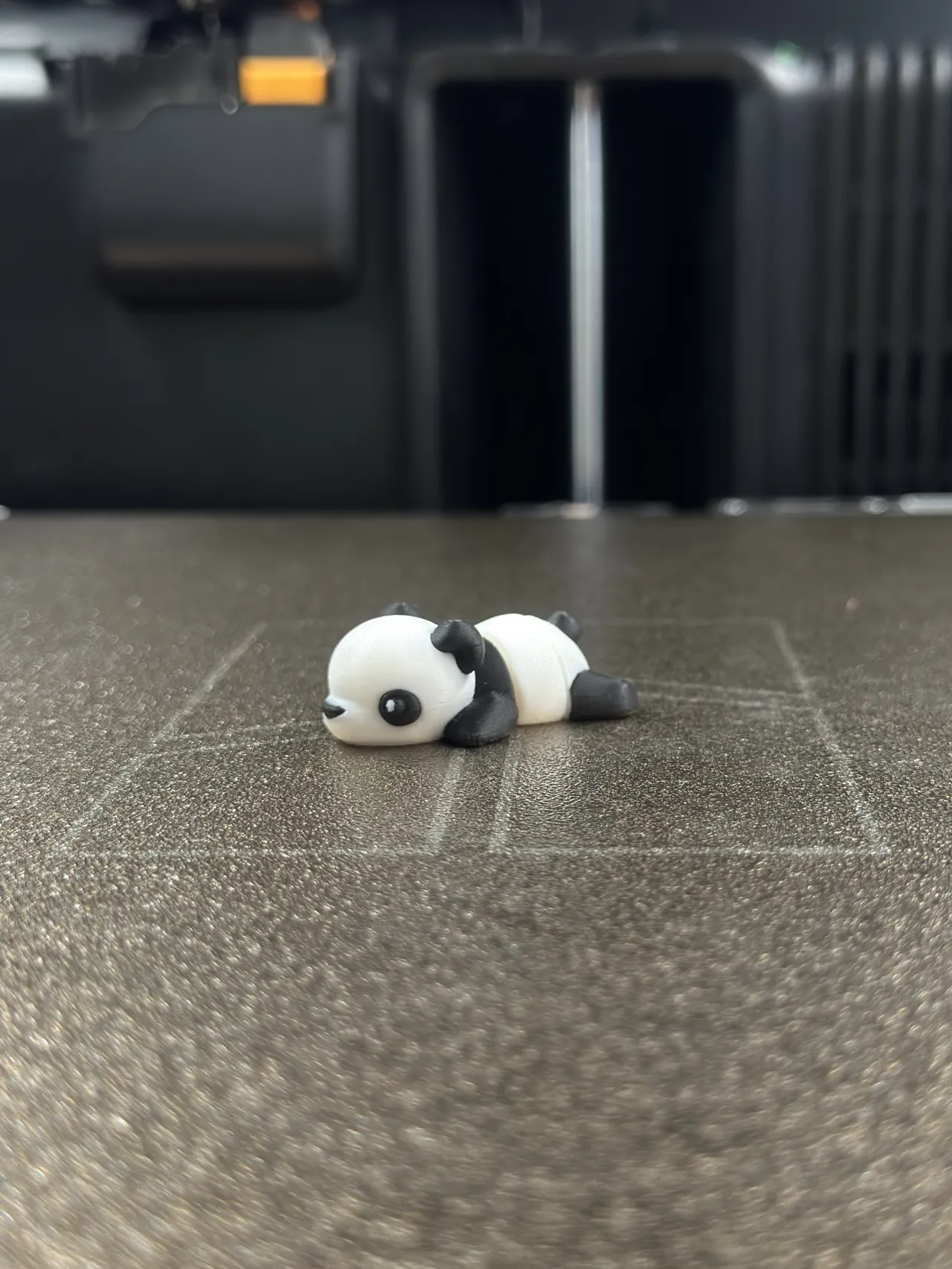 Zookis - Bambu (oso panda) #12 view 3