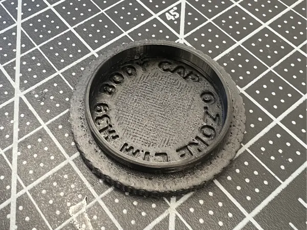 https://makerworld.bblmw.com/makerworld/model/USbd67dc1591a4e7/design/2025-01-03_cf2ca8da56799.jpg
