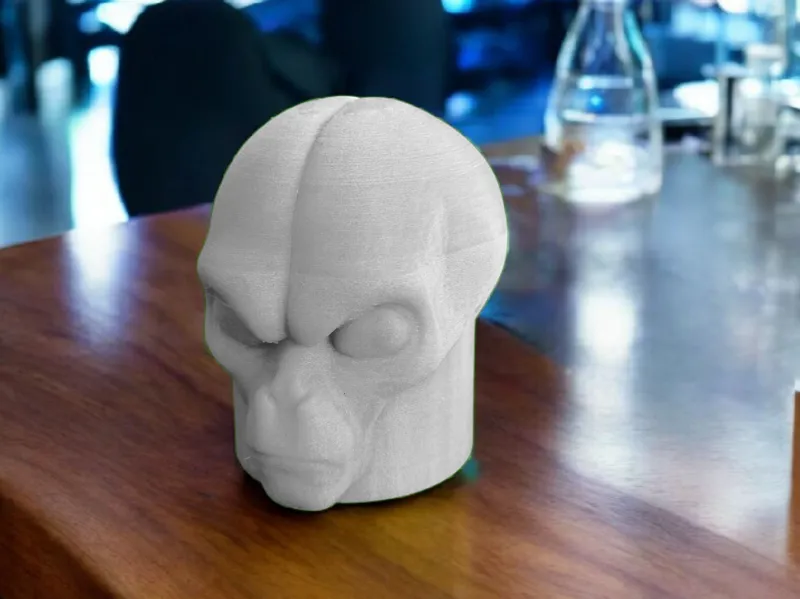 HITCH COVER ALIEN