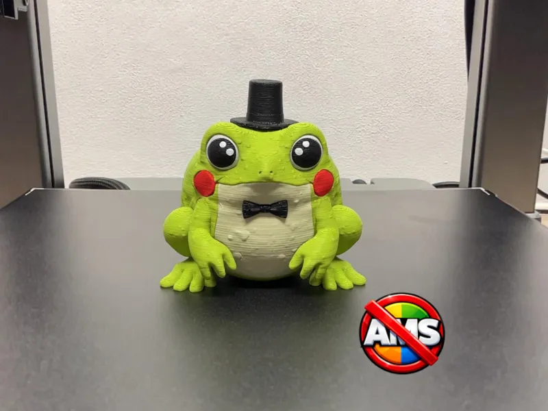Sapo Elegante - [ NO AMS ]