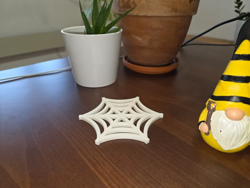 The Spooky-Chic Spider Web Coaster