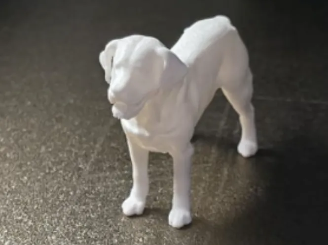 Miniatura da Raça de Cão Lavrador.