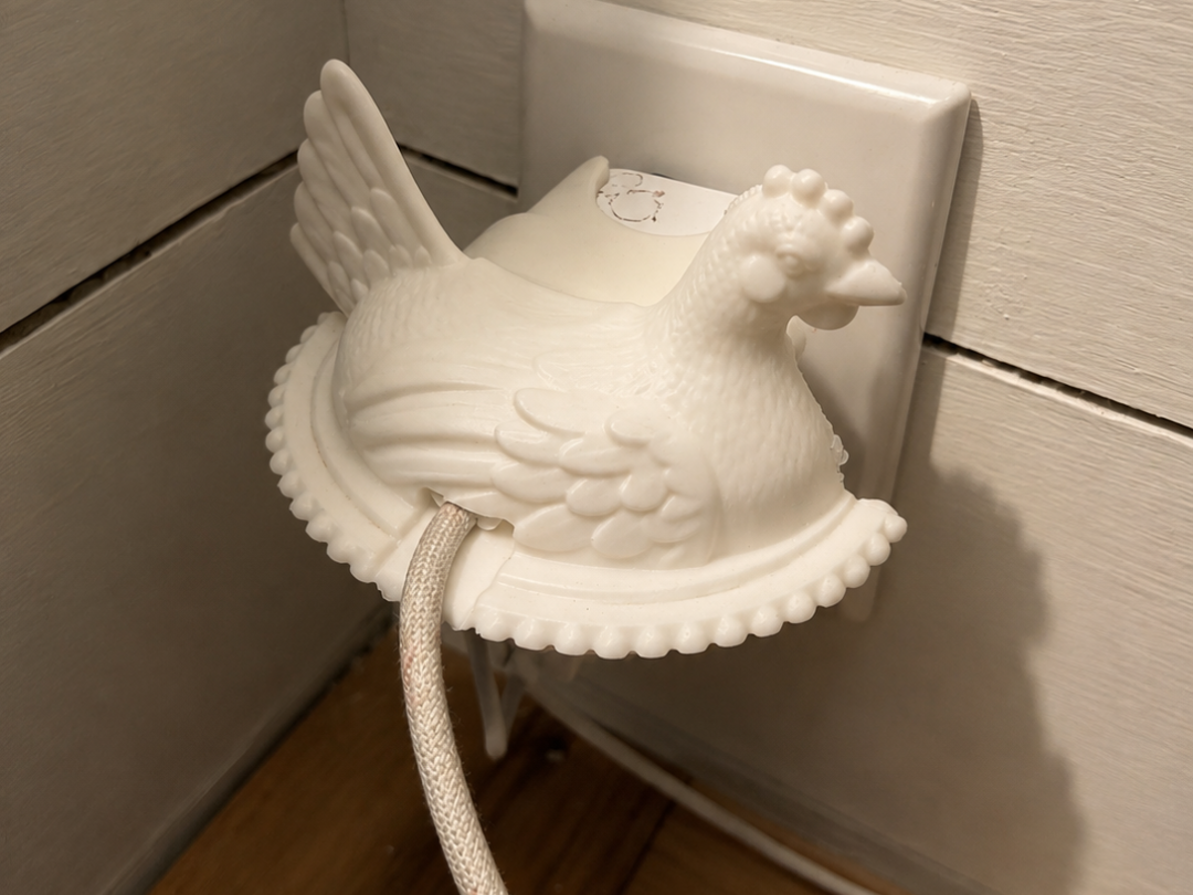 hen on Nest iPhone USB-C Charger Cover