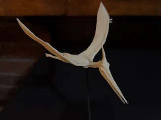 Pterodactyl