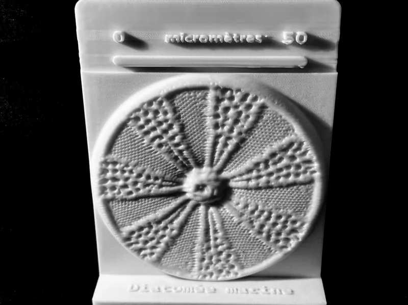 Projet microphotographies de diatomées