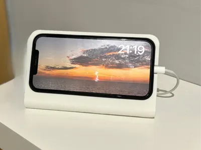 iPhone 16 Pro Max (w/case)