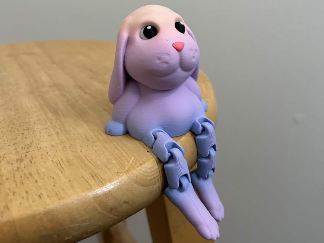Funny Sitting Bunny