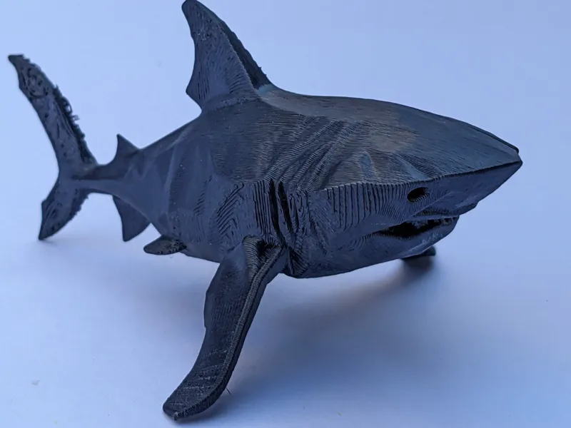 Shadow Shark