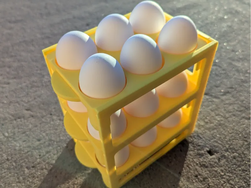 Egg Organizer