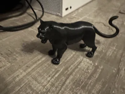 Black Puma