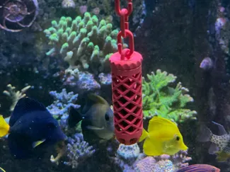 Nori Tampon