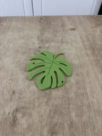 Dessous de verre feuille de monstera — photo 3