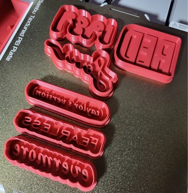 https://makerworld.bblmw.com/makerworld/model/USbd918c4179b678/design/2024-11-17_6499be17fea01.jpg