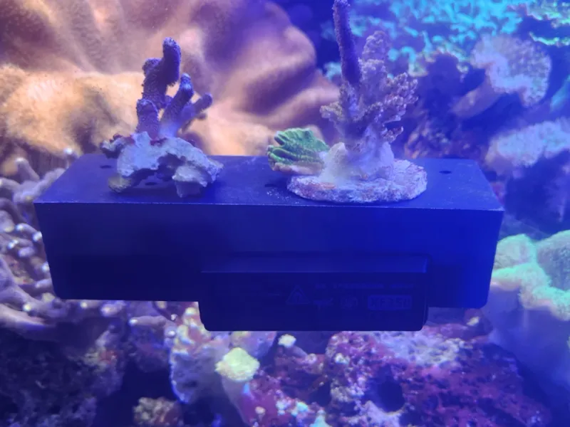 Aquarium Coral Frag Shelf