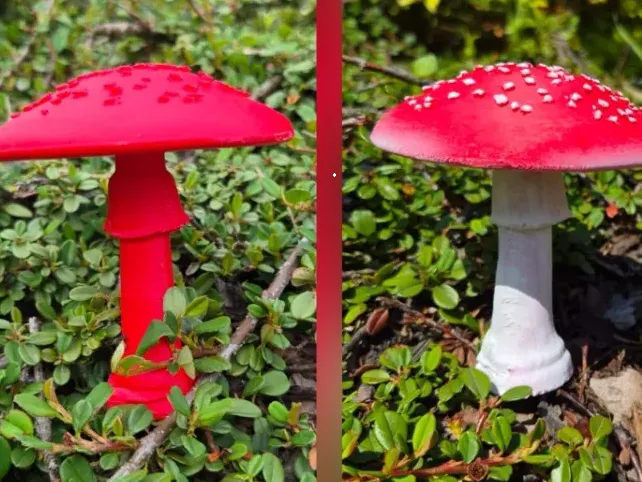 red mushroom