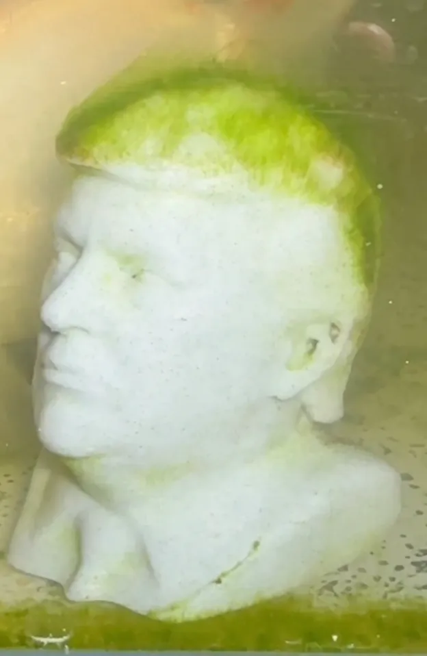 president trump